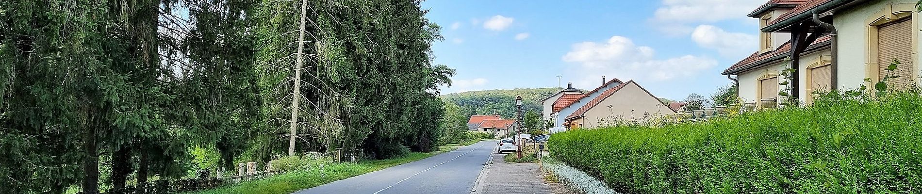 Randonnée A pied Beyren-lès-Sierck - Boucle de Gandren - Photo