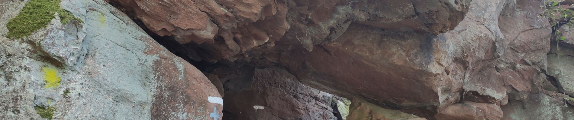 Excursión Senderismo Celles-sur-Plaine - tête du coquin  - Photo