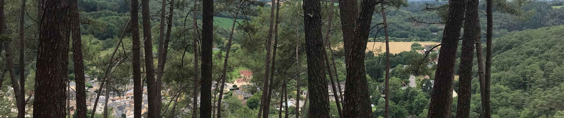 Tour Wandern Saint-Léonard-des-Bois - Alpes mancelles - Photo