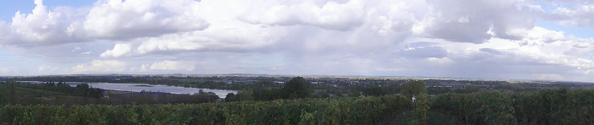 Randonnée A pied Gennes-Val-de-Loire - De Loire et Forêt - Photo