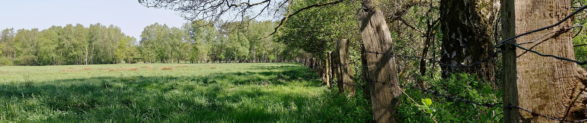 Tour Zu Fuß Norderstedt - Wanderrunde zwischen den Mooren - Photo