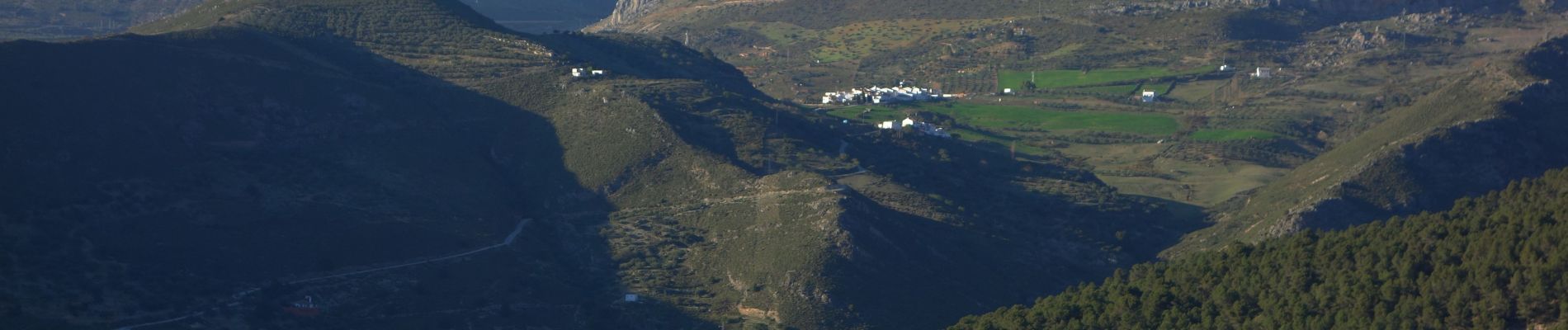 Point d'intérêt Alcaucín - Vue sur 