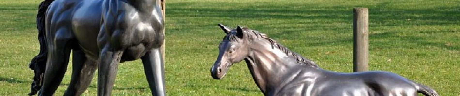 POI Marche-en-Famenne - Les chevaux en bronze - Photo
