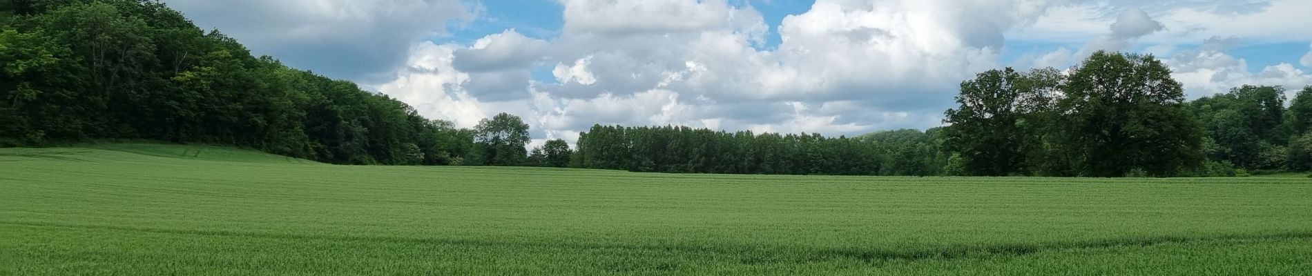 Tocht Stappen Chavigny - randonnée à  Chavigny 02  - Photo