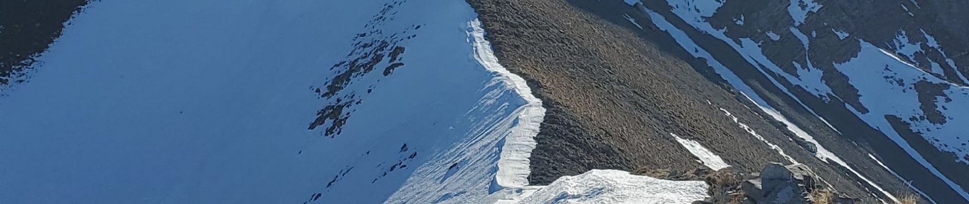 Tour Wandern Seyne - Seyne première  bosse dos de chameau 9km 950m - Photo