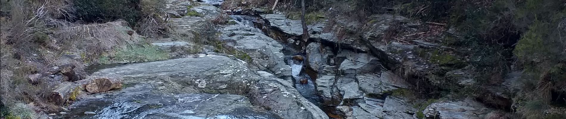 Trail Walking Saint-André-de-Lancize - le mulet grisou - Photo