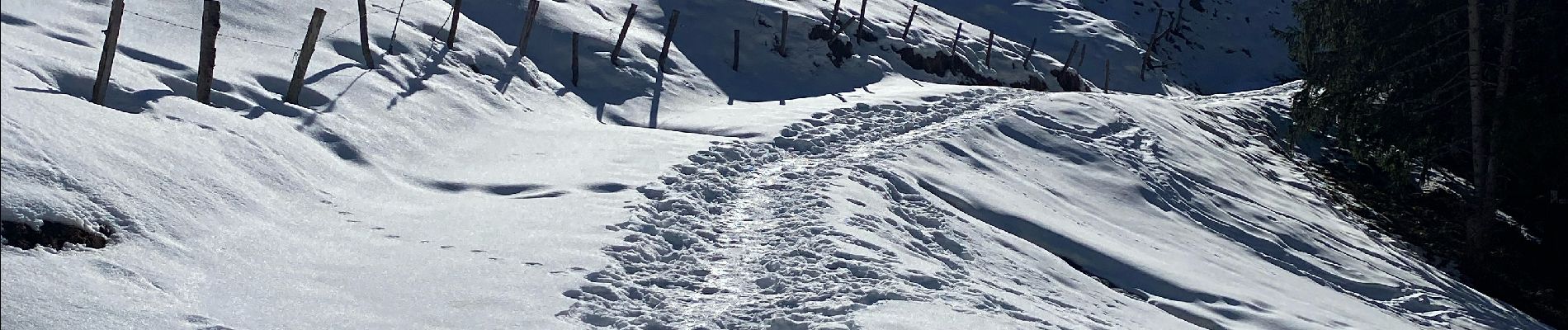 POI Abondance - Fin de piste carrossable - Photo