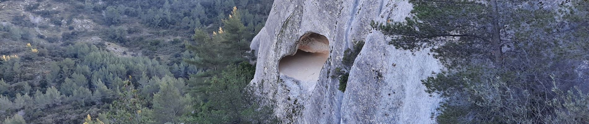 Tocht Stappen Évenos - gres de sainte anne  - Photo