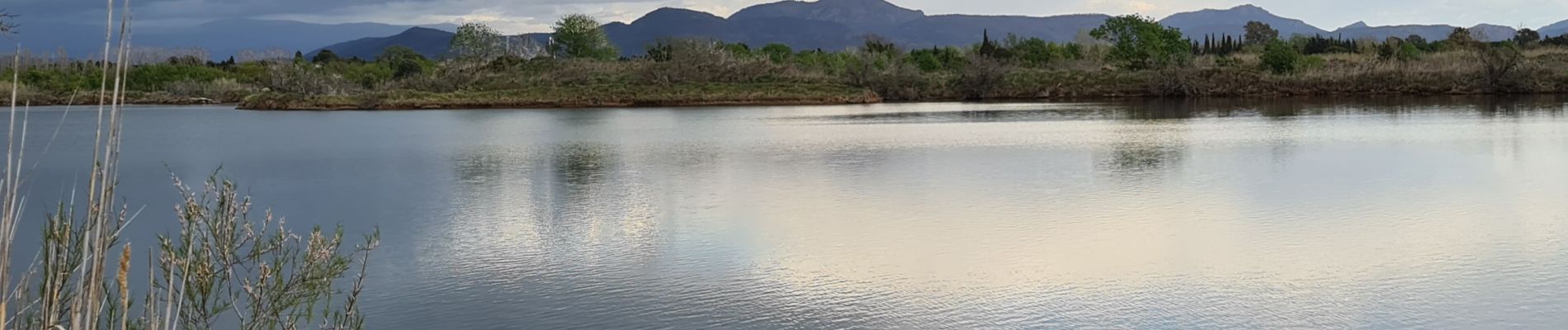 Tour Wandern Fréjus - etangs de villepey et collines - Photo