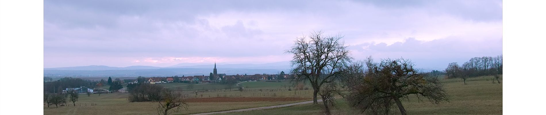 Percorso A piedi Bouxwiller - Sentier Géologique / Sentier des Chortens - Photo