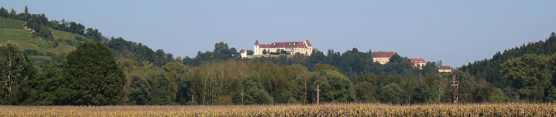 Tocht Te voet Kitzeck im Sausal - Heimschuher Runde Nord - Photo