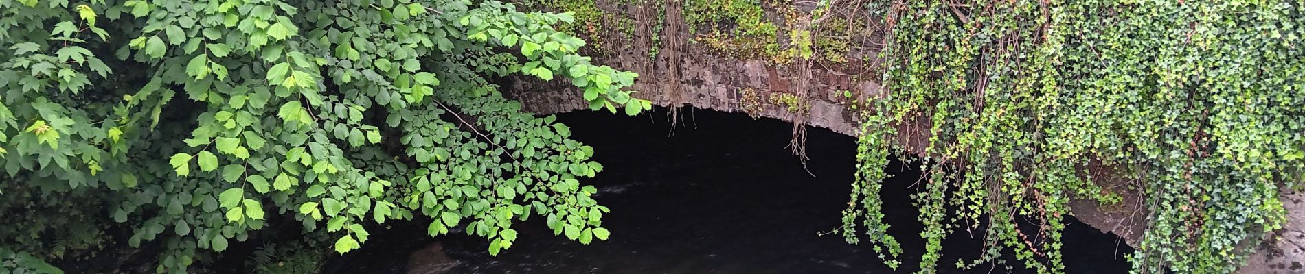 Trail Walking Spa - les eaux au sud de Spa  - Photo