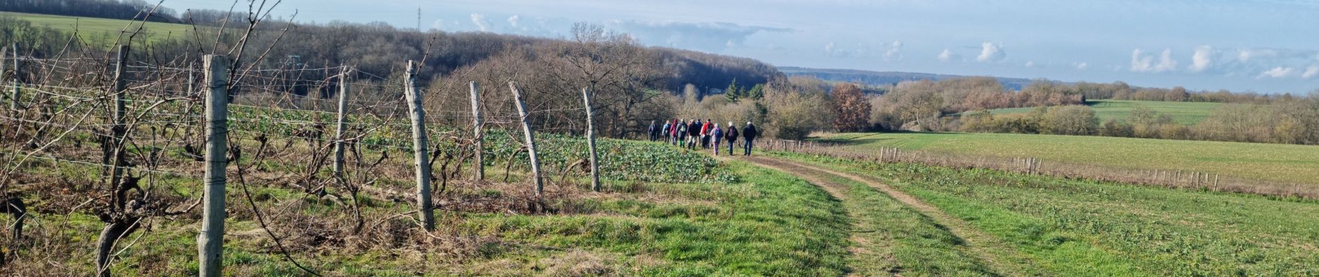 Tour Wandern Houssay - Circuit Promenades et Randonnées (PR) 