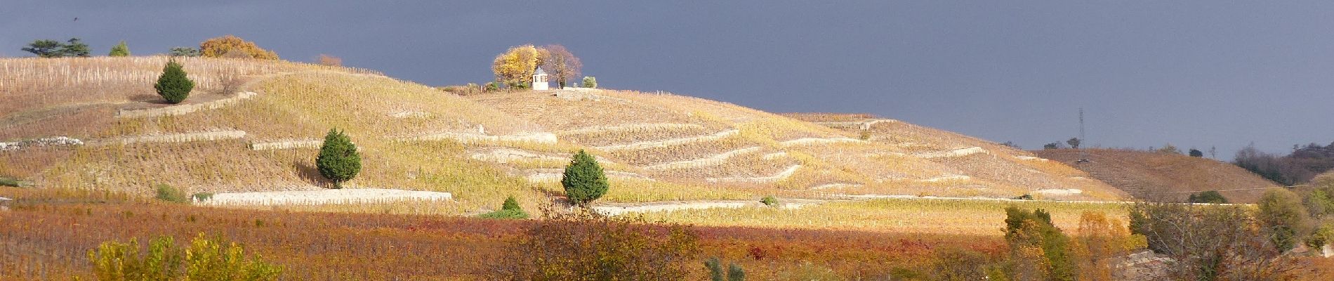 Randonnée Marche Tain-l'Hermitage - Tain Gervans Crozes 14km - Photo