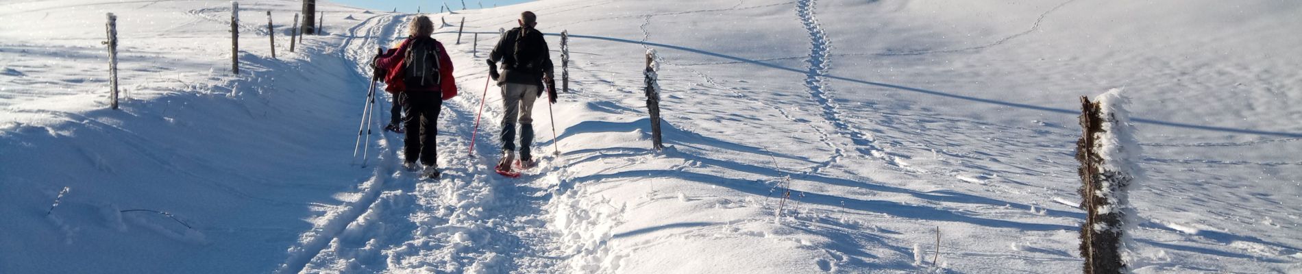 Tour Schneeschuhwandern Les Moussières - Les poussières raquettes - Photo