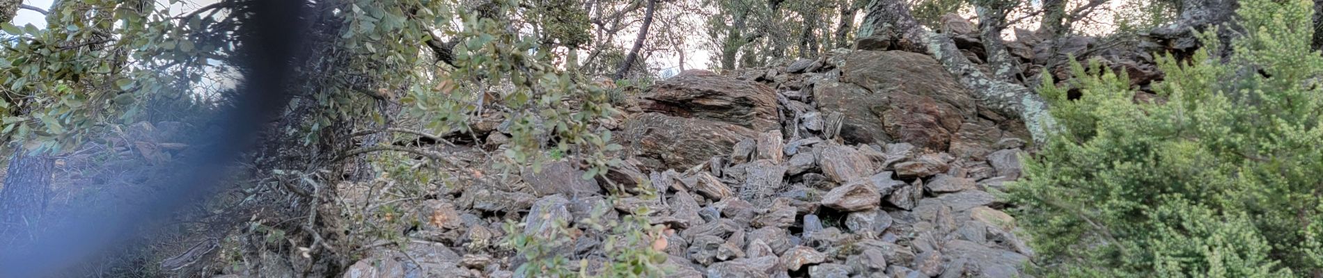 Point d'intérêt Roquebrune-sur-Argens - oppidum - Photo