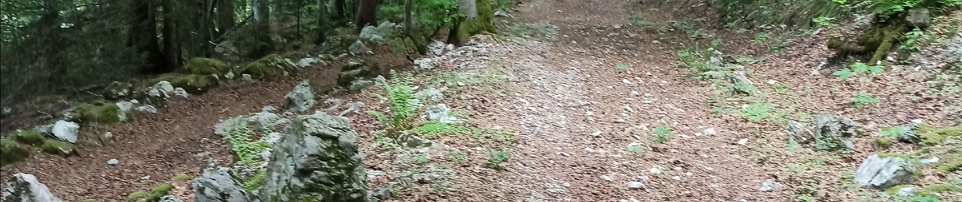 Tour Wandern Chézery-Forens - col du sac - Photo