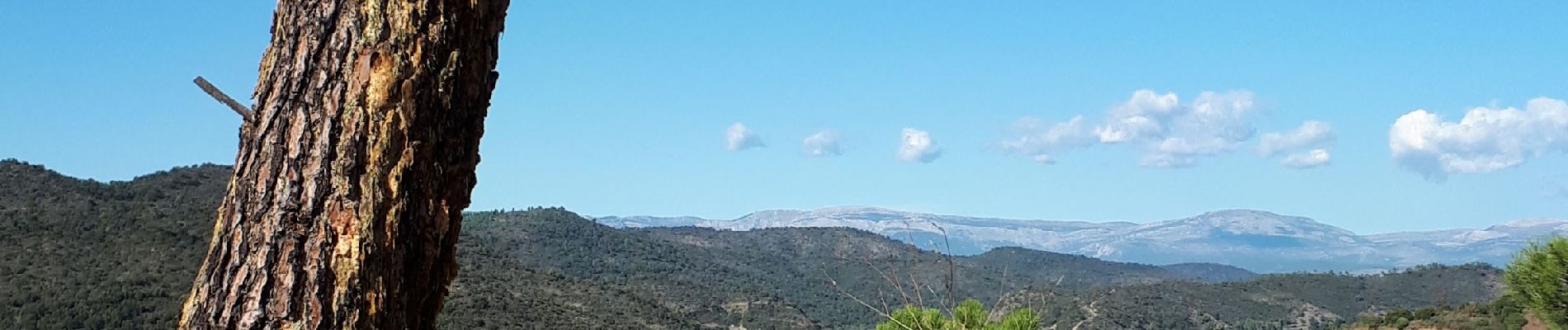 Tocht Mountainbike Saint-Raphaël - Peïre Sarade - Arcs Sénéquier et retour - Photo