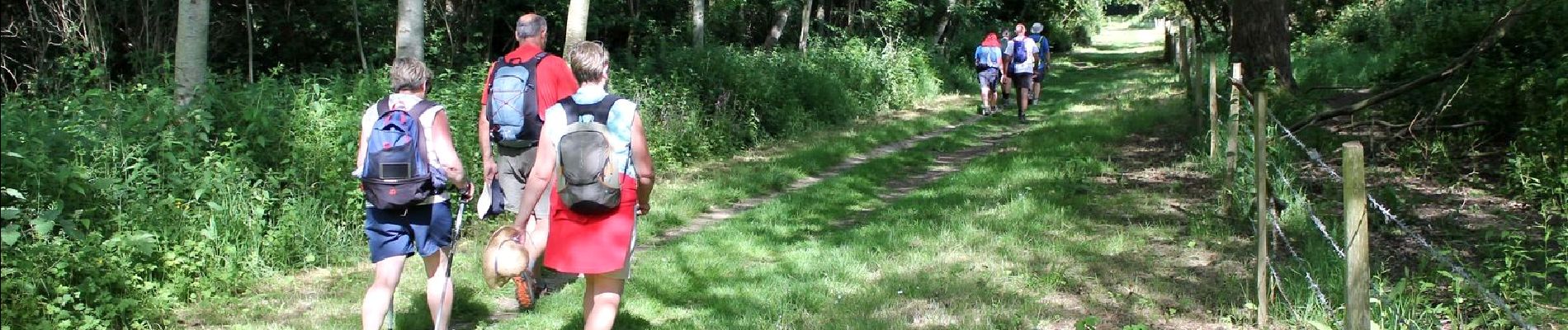 Tocht Stappen Sassetot-le-Mauconduit - Sassetot le Mauconduit 22.5Km Dén P 432m - Photo