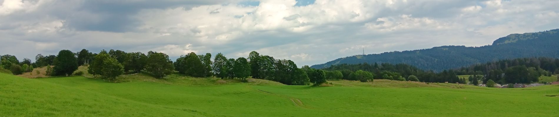 Trail Walking Lajoux - Le crêt de la vigoureuse (le vrai) - Photo