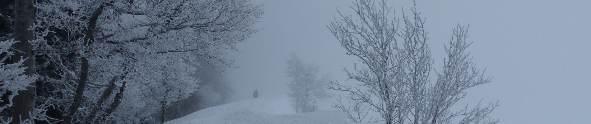 Tocht Sneeuwschoenen Lans-en-Vercors - la moliere - Photo