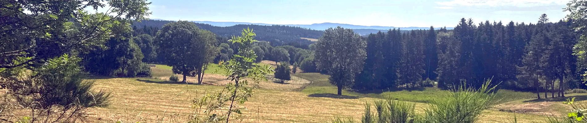 Trail Walking Saint-Germain-l'Herm - St_Germain_Herm_Bois_Moranges - Photo
