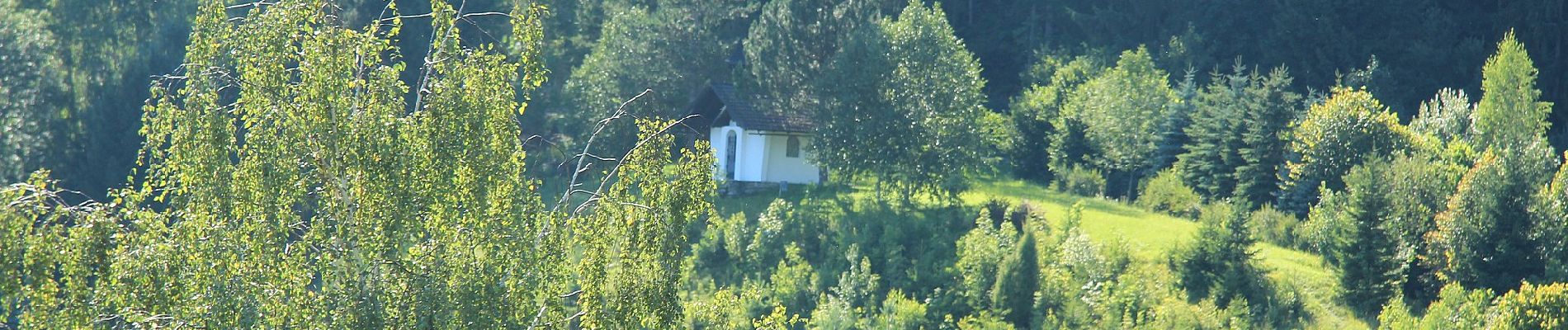 Randonnée A pied Gemeinde Sankt Aegyd am Neuwalde - Wanderweg 33 - Photo