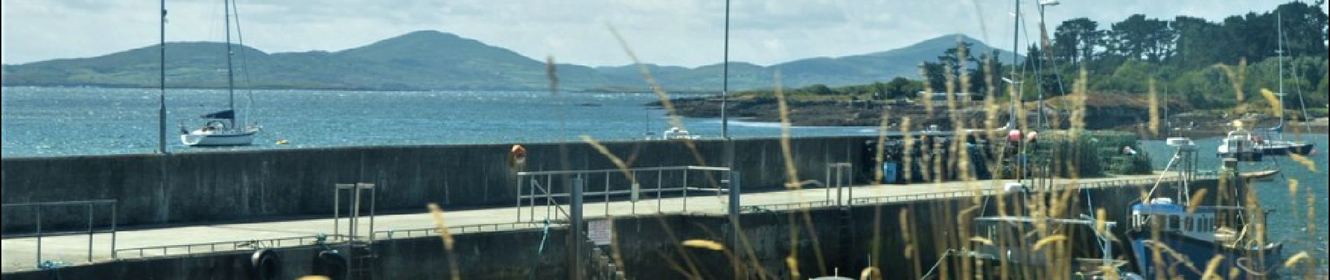 Tocht Te voet West Cork - Seefin Loop - Photo