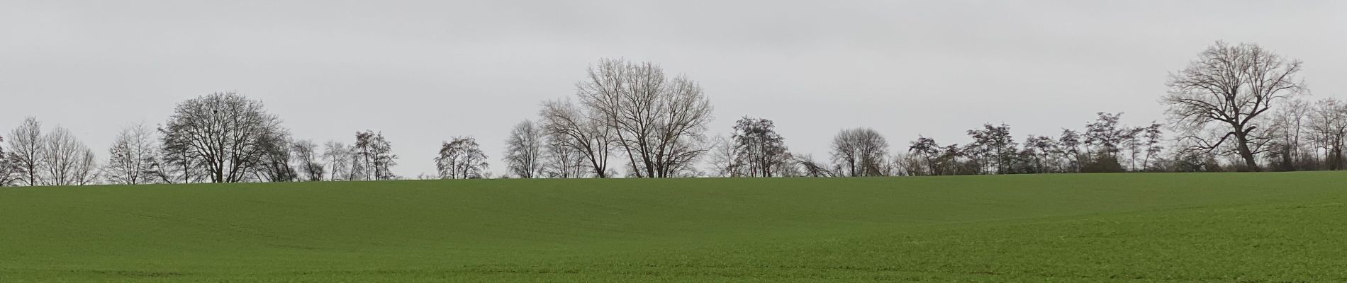 Tour Wandern Boutersem - S-GR Hageland: Vertrijk - Tienen - Photo