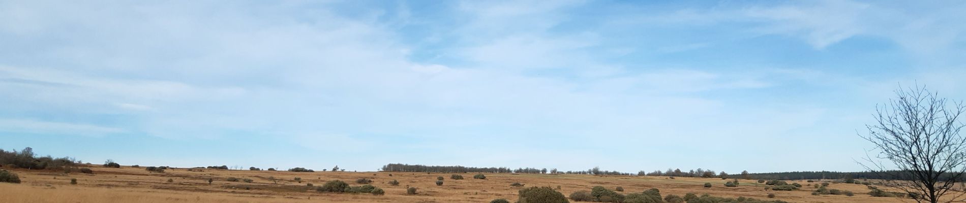 Tocht Stappen Waimes - botrange - tour de la fagne wallonne  - Photo