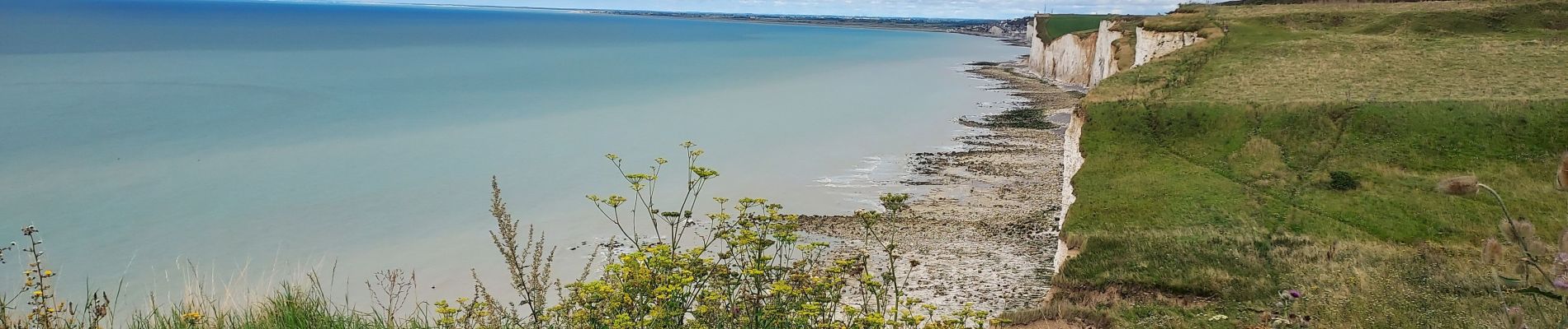 Tour Wandern Mers-les-Bains - Mers les bains - Bois de Cise 10/08/2021 - Photo