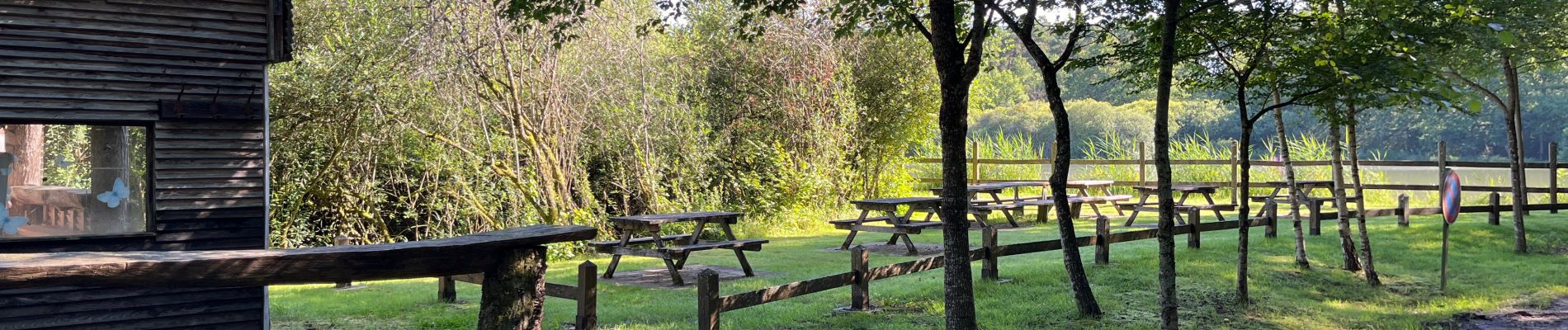 Randonnée Marche Annéville-la-Prairie -  Etang d’Anneville - Photo