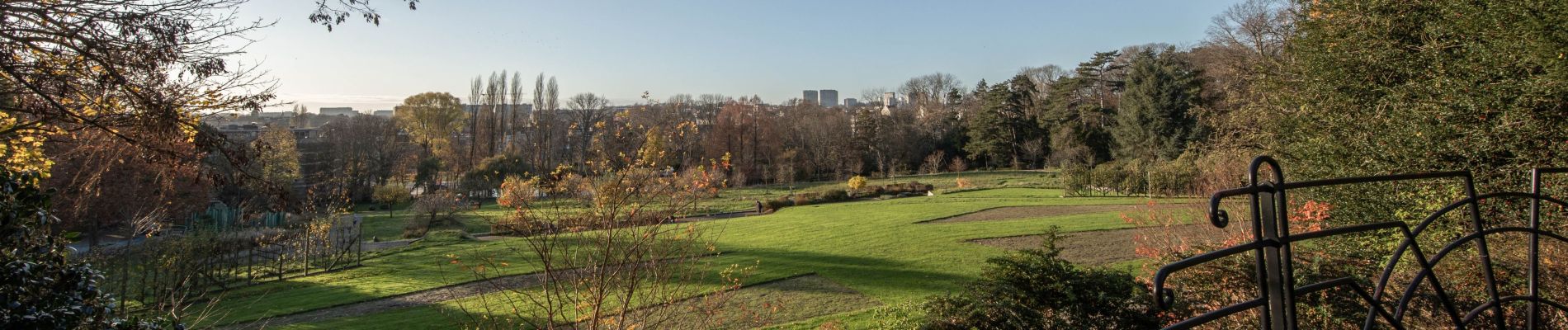 Trail Walking Jette - Jardins du fleuriste - Photo