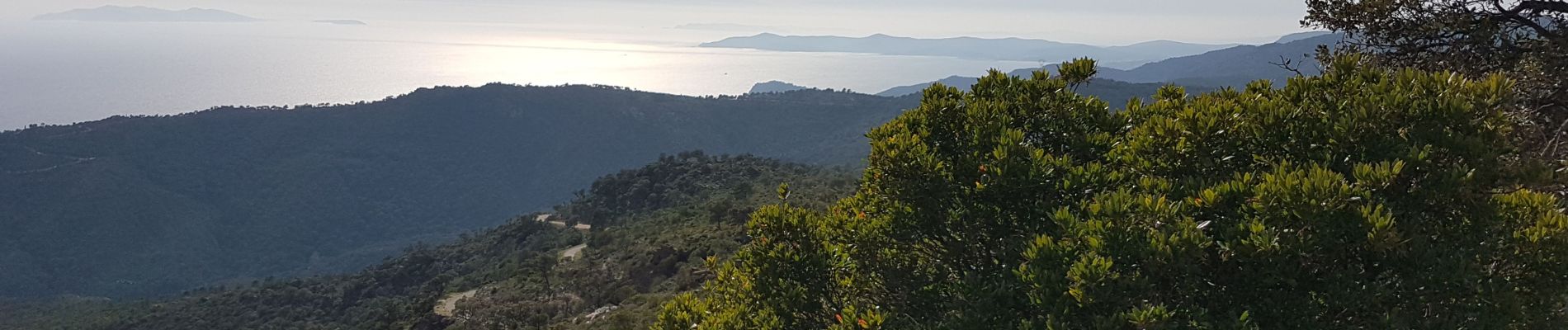 Percorso Marcia Cavalaire-sur-Mer - LES TERRASSES DE CAVALAIRE - MONTJEAN ET LES PRADELS - Photo