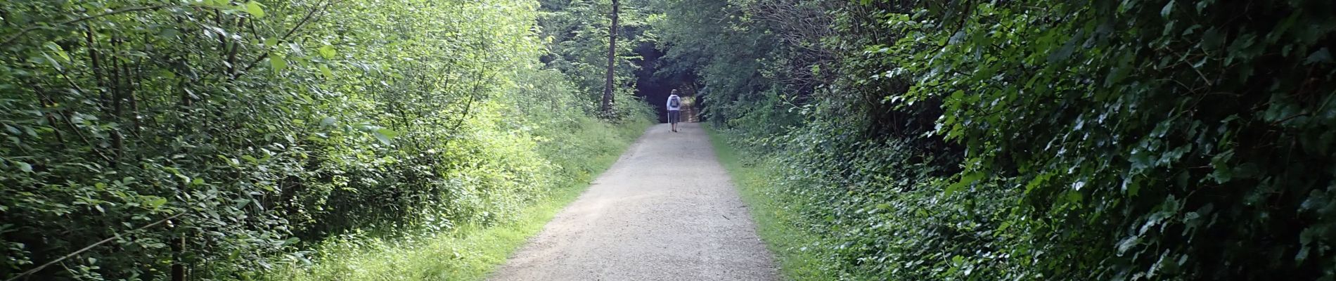 POI Oudergem - Vue sud-est sur chemin à proximité des Trois-Couleurs - Photo