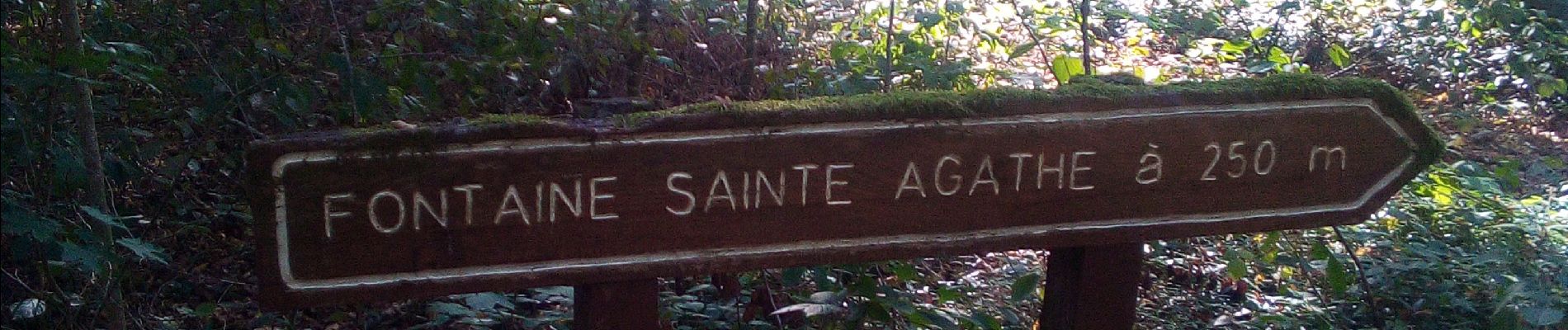 Excursión Senderismo Besançon - Forêt de Chailluz - Photo