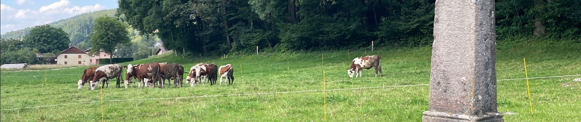 Trail Walking Rehaupal - Le trou de l’enfer  - Photo