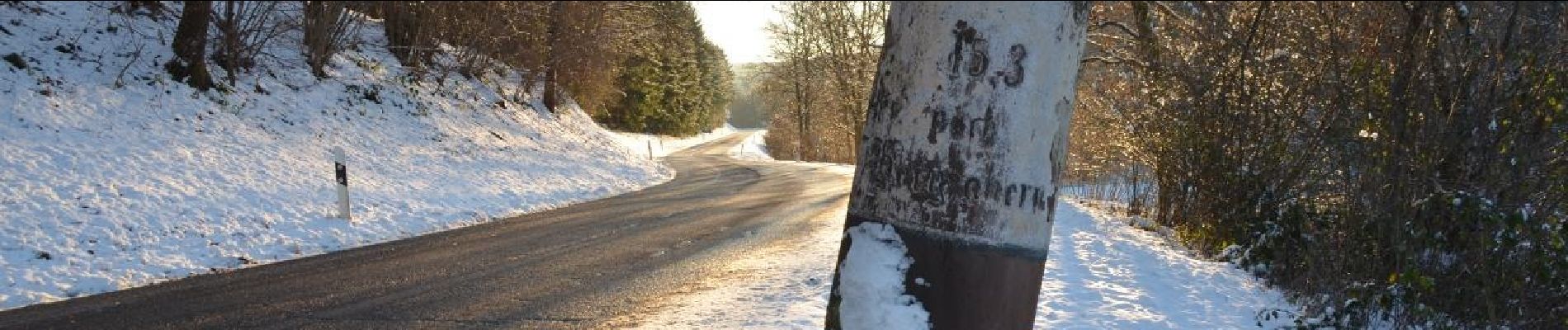 Trail On foot Schwanheim - Oberschlettenbacher Höhenweg - Photo