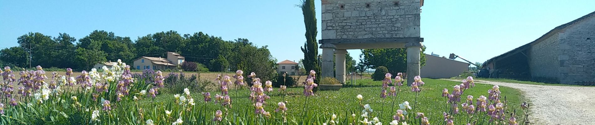 Randonnée Vélo électrique Molières - Molières 11 05 2022 - Photo