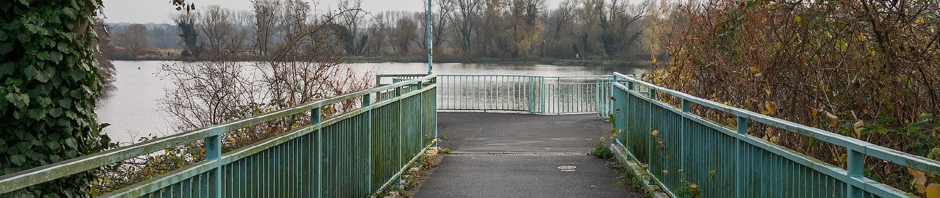 Tocht Te voet Onbekend - Mülheim Wasserbf Rundweg A8 - Photo