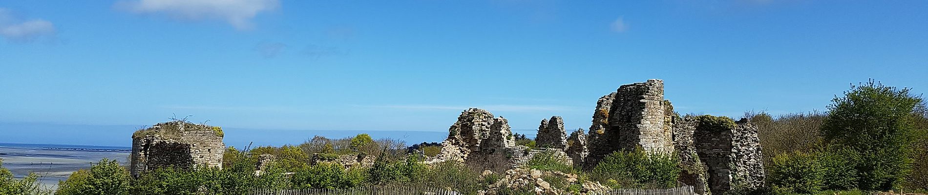 Excursión A pie Beaussais-sur-Mer - Chemin des Dolmens - Photo