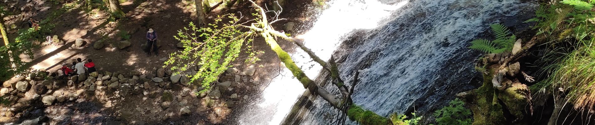 Excursión Senderismo Mont-Dore - cascadeS ,saut du Loup - Photo