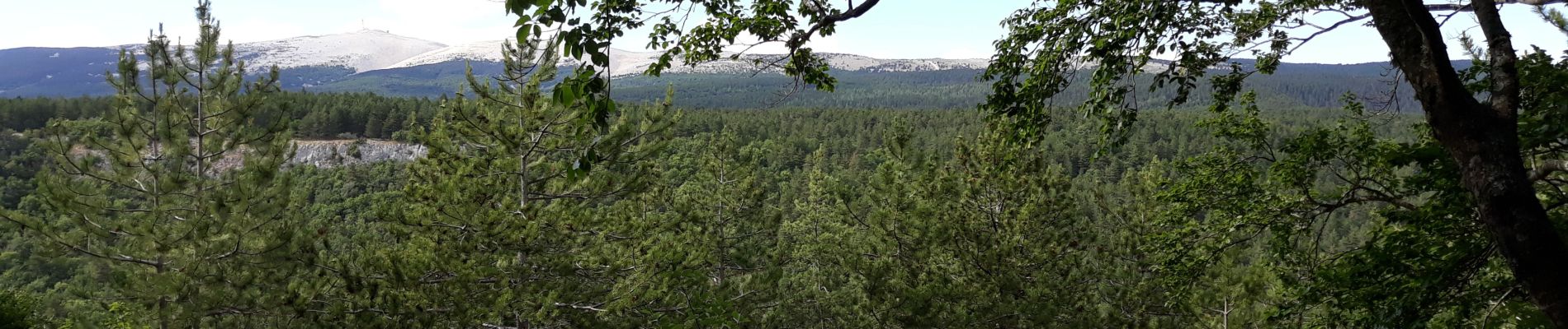 Randonnée V.T.T. Bédoin - Chapelle St Jean depuis Bedoin VTT - Photo