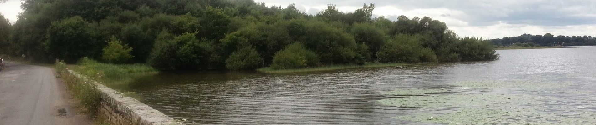 Randonnée A pied Feins - L'étang et la Rigole de Boulet - Photo