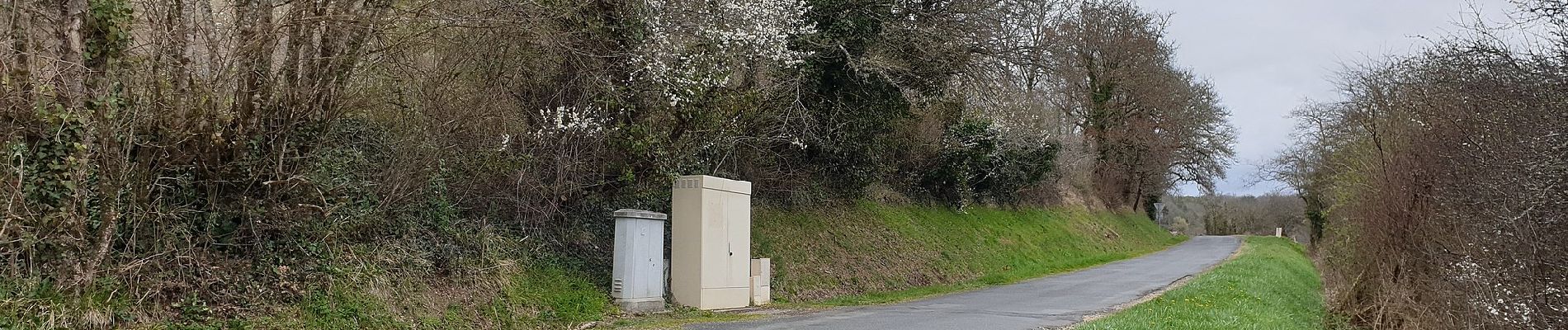 Tocht Te voet Bussac - Boucle de Bussac - Photo