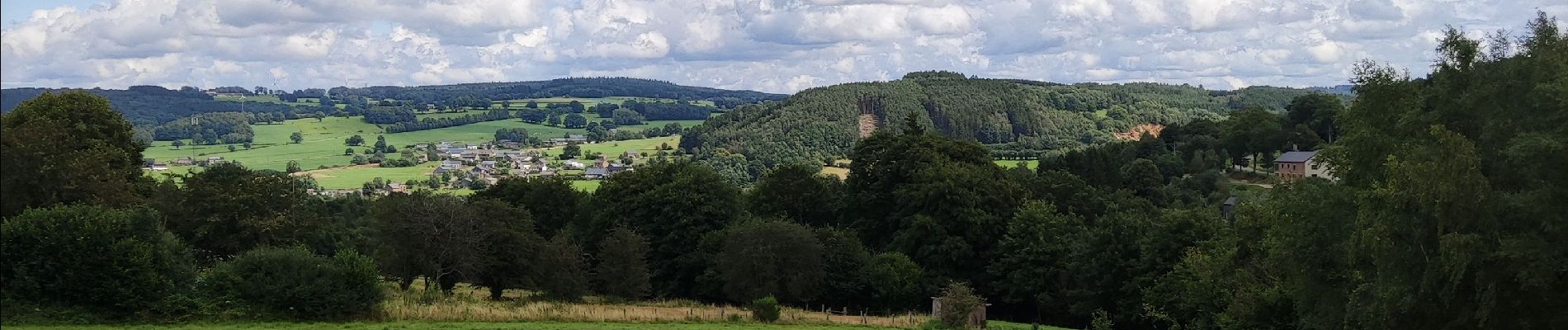 Tocht Stappen Stavelot - Promenade de l’écureuil - Photo