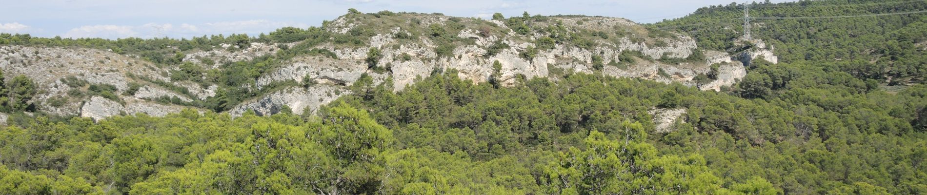 Excursión Senderismo Salon-de-Provence - PF-Le Tallagard - Sentier des Abeilles - Photo