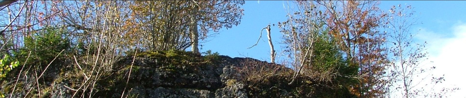 Randonnée A pied Durach - Durach: Geotopweg Dengelstein - Photo