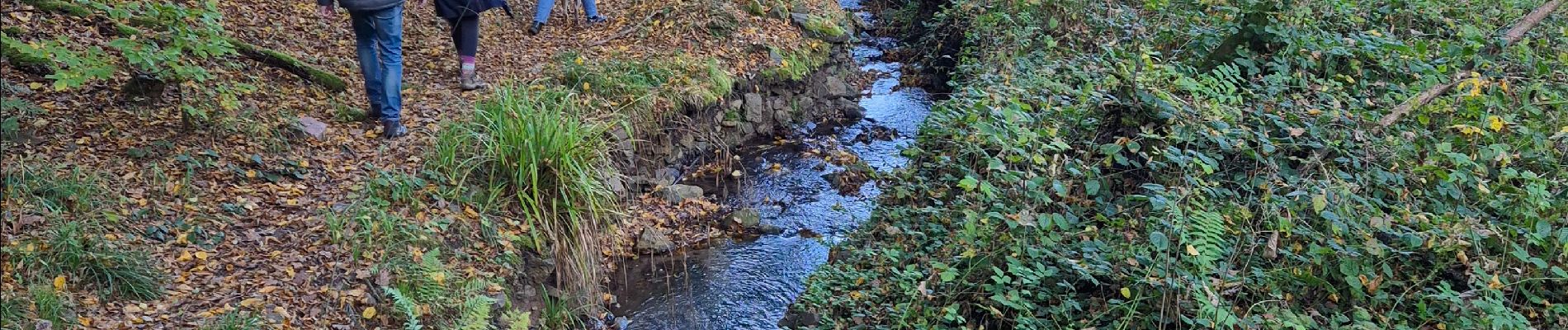 Randonnée Marche Liège - Balade blanc gravier - Photo