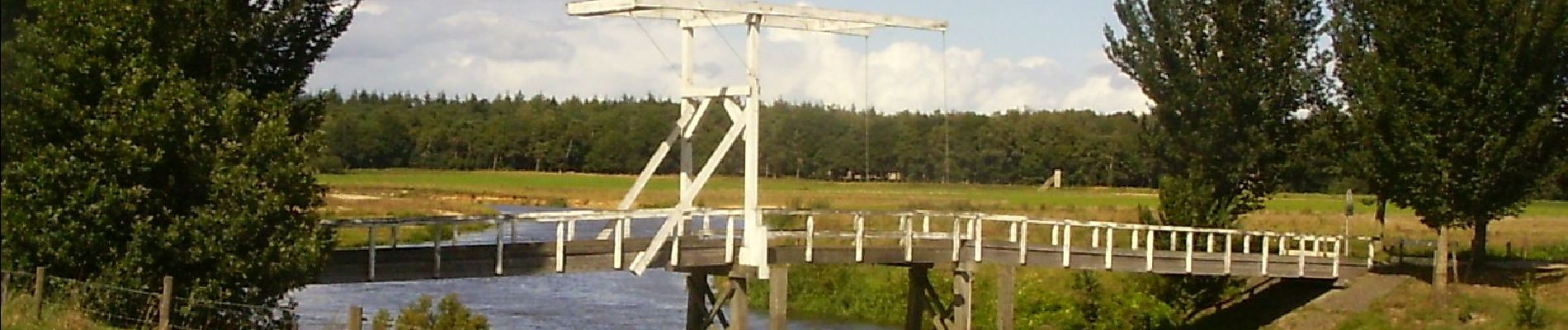 Percorso A piedi Ommen - Wandelnetwerk Vechtdal - groene route - Photo